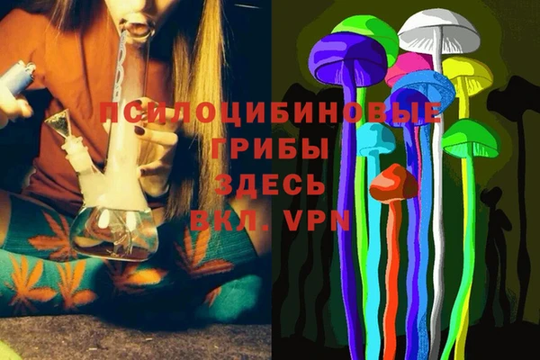 СК Нефтекумск
