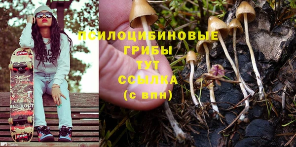 мдпв Нефтегорск